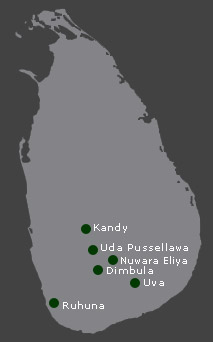 Ceylon tea exporters in Sri lanka 